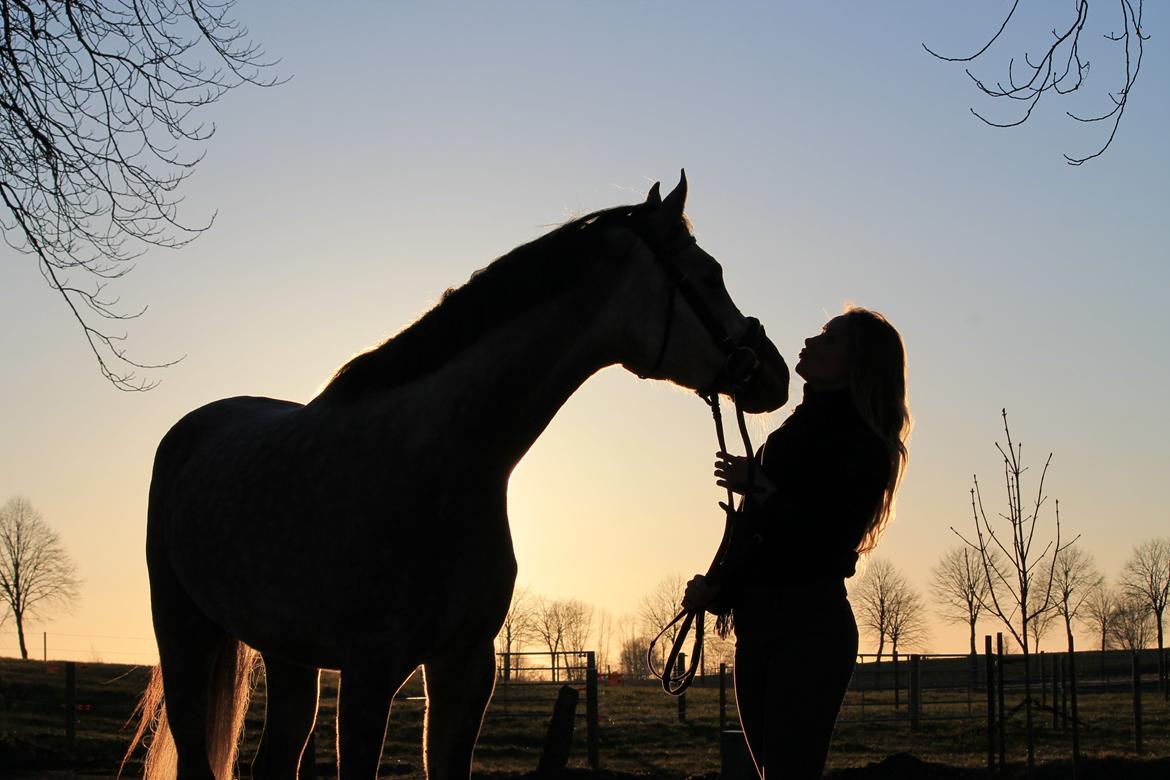 Anden særlig race Esico  billede 14