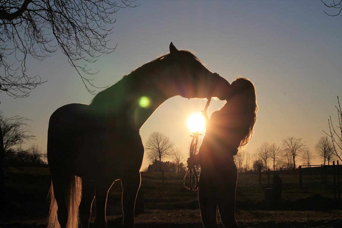 Anden særlig race Esico  billede 15