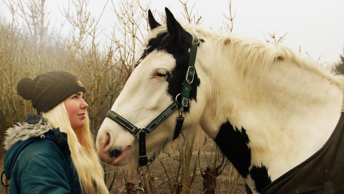 Tinker Hauge's Aileen [Ko] - baby<3.. - 4 år billede 4