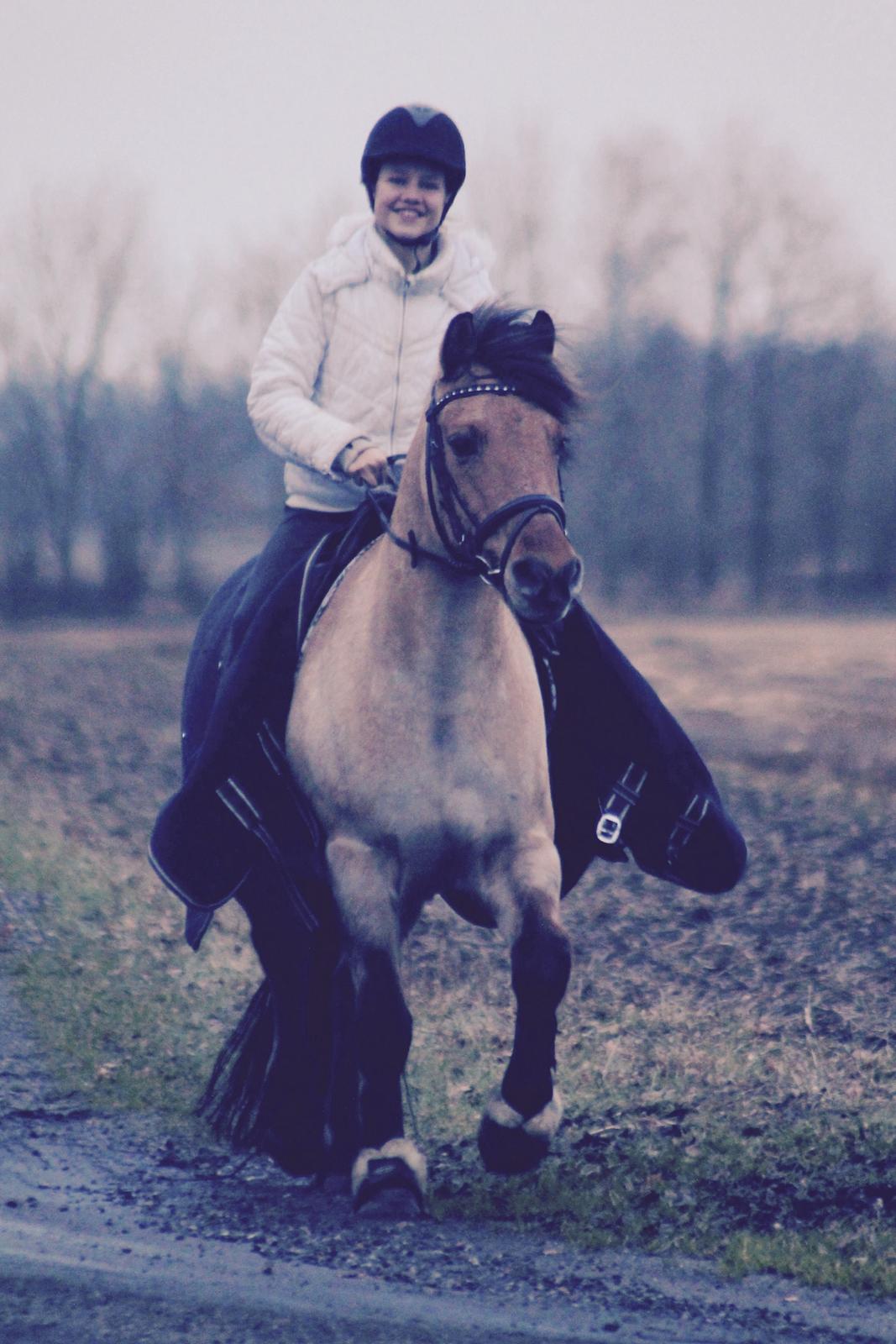 Anden særlig race Østergårds Baloo billede 3