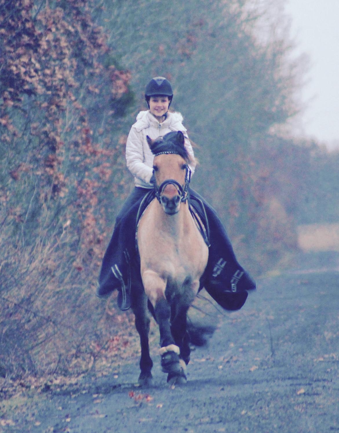 Anden særlig race Østergårds Baloo billede 2