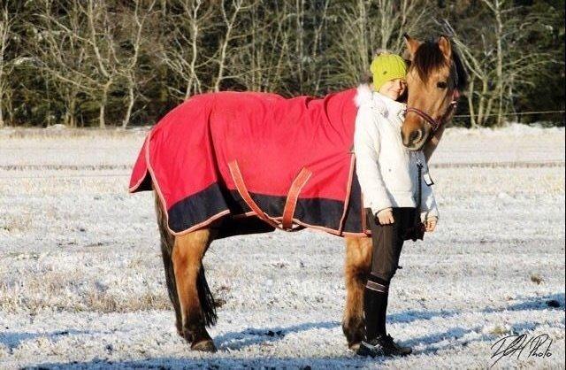 Anden særlig race Østergårds Baloo billede 5