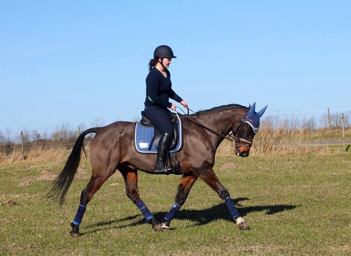 Traver Julius R.I.P :'( billede 1