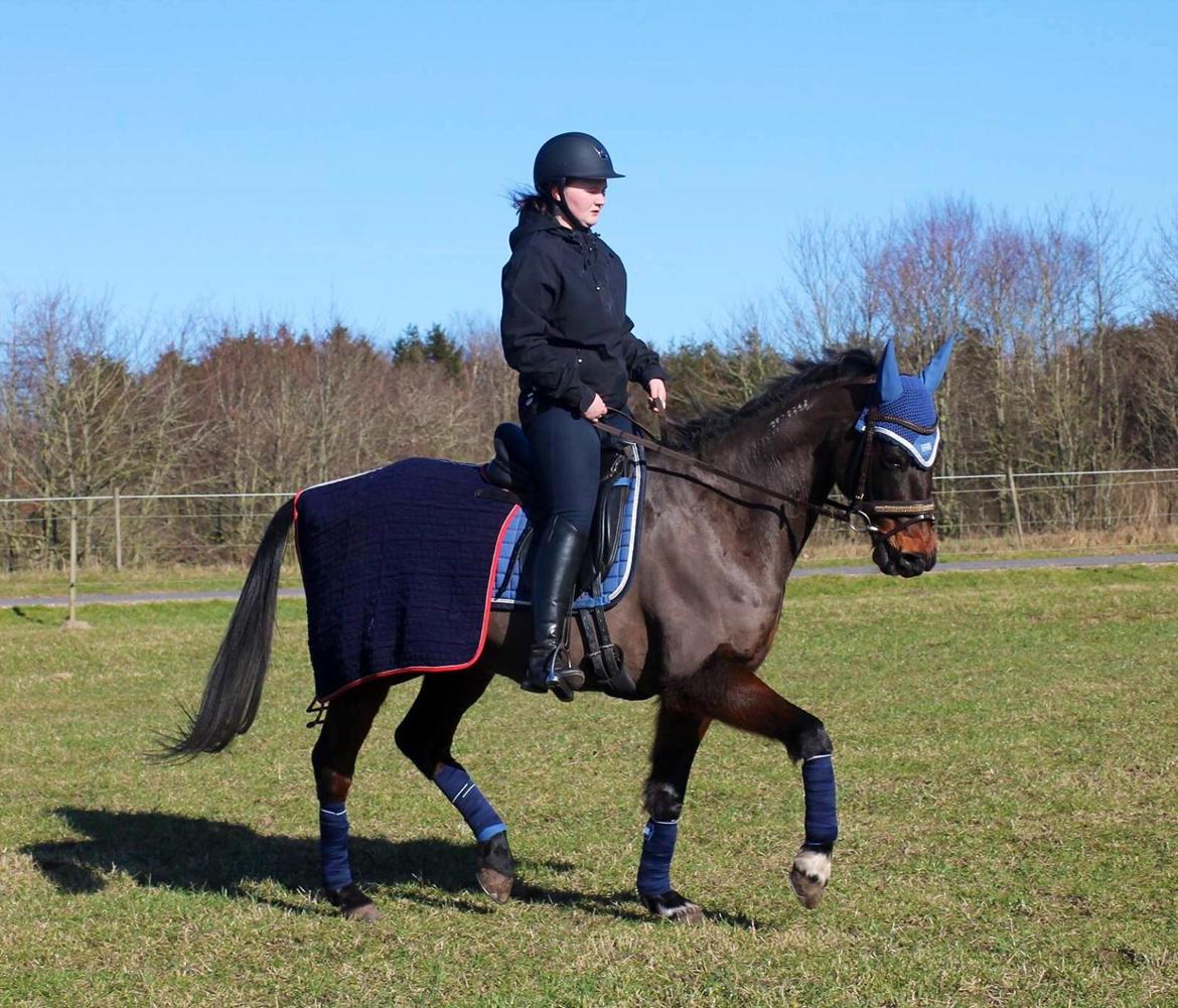 Traver Julius R.I.P :'( billede 10