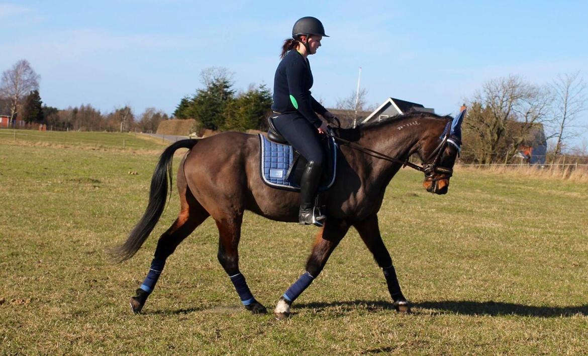 Traver Julius R.I.P :'( billede 15