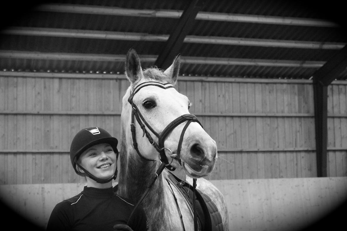 Connemara Mosegårdens Mascha  - Er du dum du dejlig! <3 billede 8