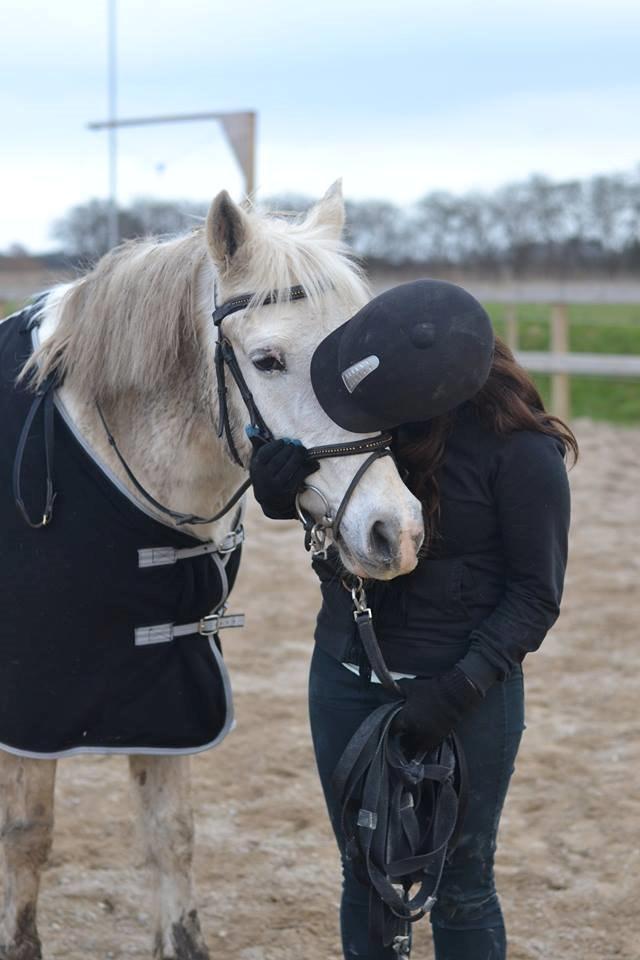 Anden særlig race Dunja billede 8