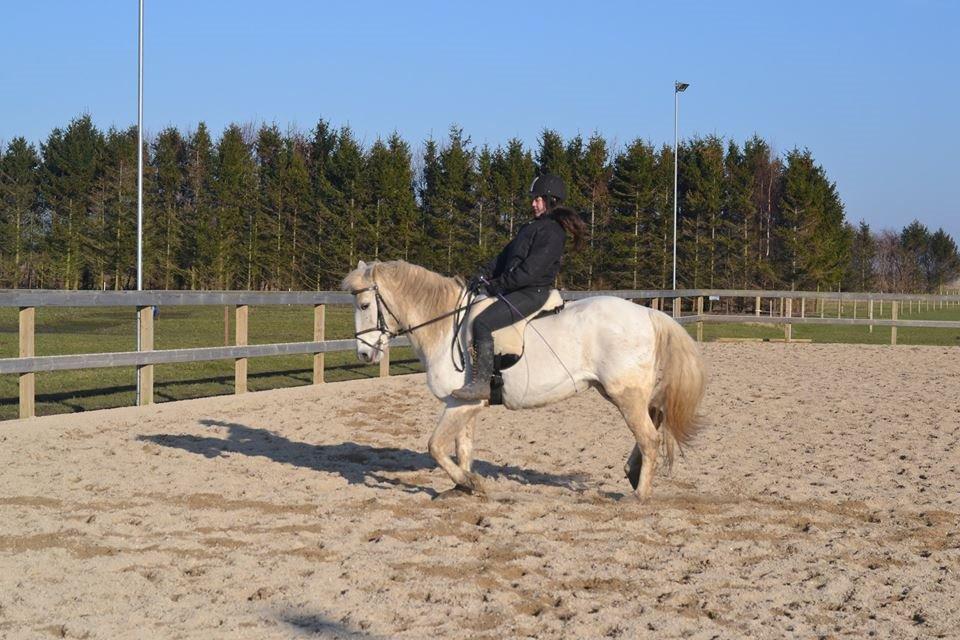 Anden særlig race Dunja billede 18