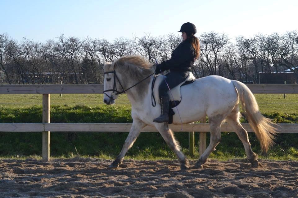 Anden særlig race Dunja billede 6