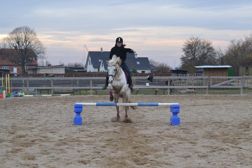 Anden særlig race Dunja billede 19