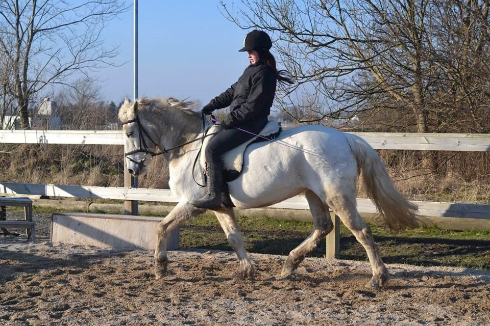 Anden særlig race Dunja billede 15