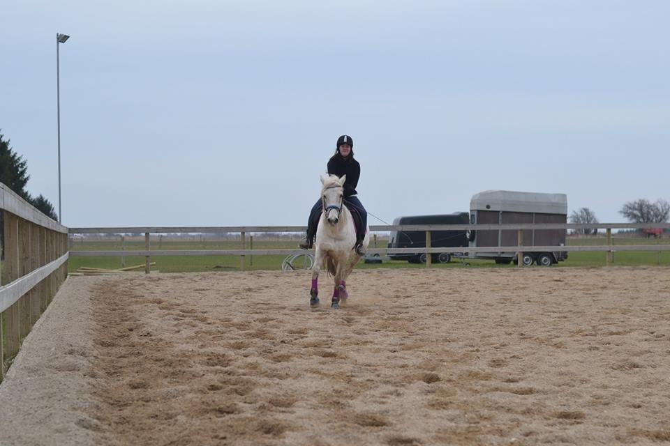 Anden særlig race Dunja billede 17