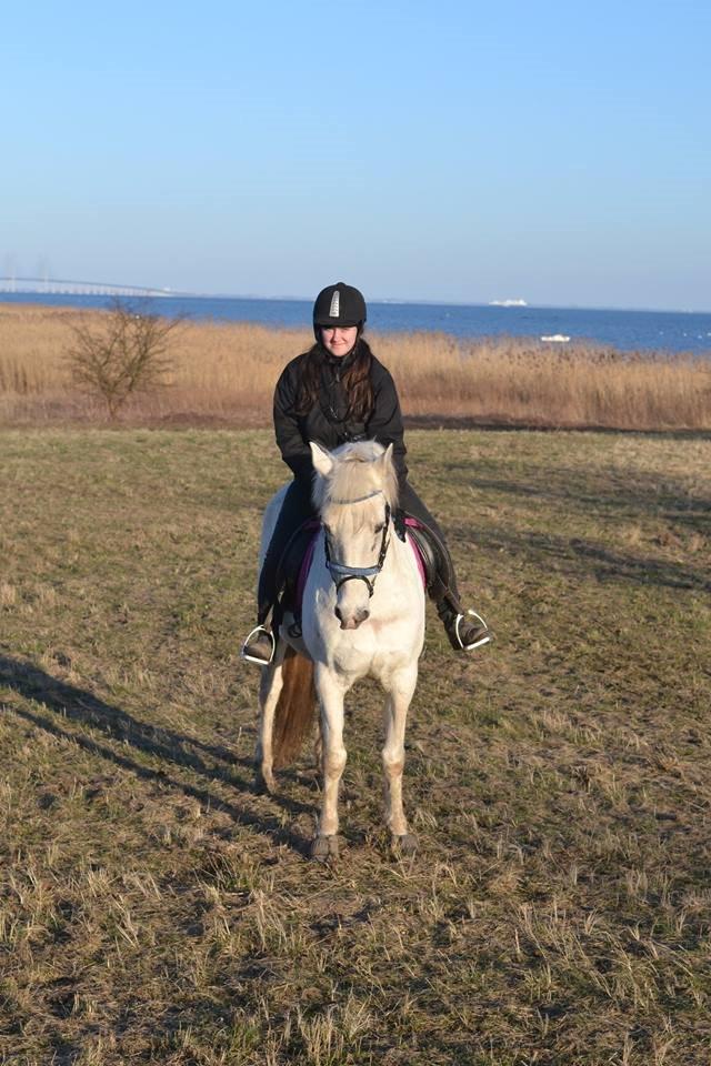 Anden særlig race Dunja billede 20