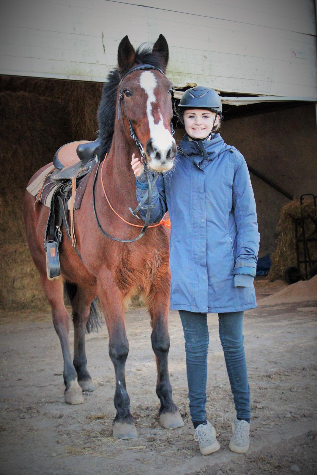 DSP Ronja  - Marts 2015, første gang vi red uden næsebånd og med westernsadel :)) billede 2
