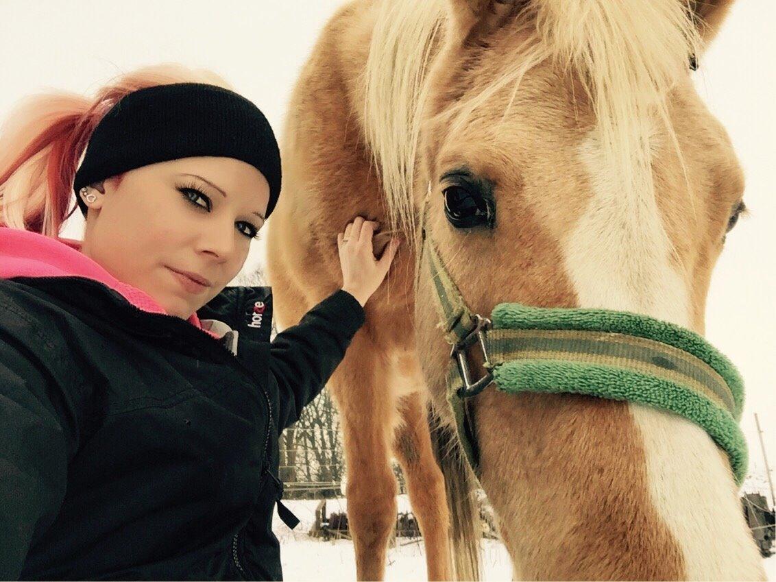 Palomino Ia starlight mist solgt billede 10