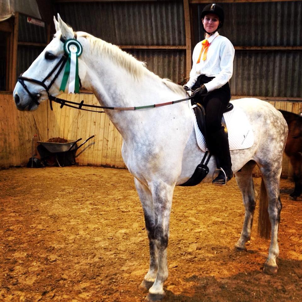 Dansk Varmblod Cassanova - Dette er fra anden gang jeg red på Cassanova, det var sjovt men man skulle dog vende sig til højde, og de store gangater billede 2