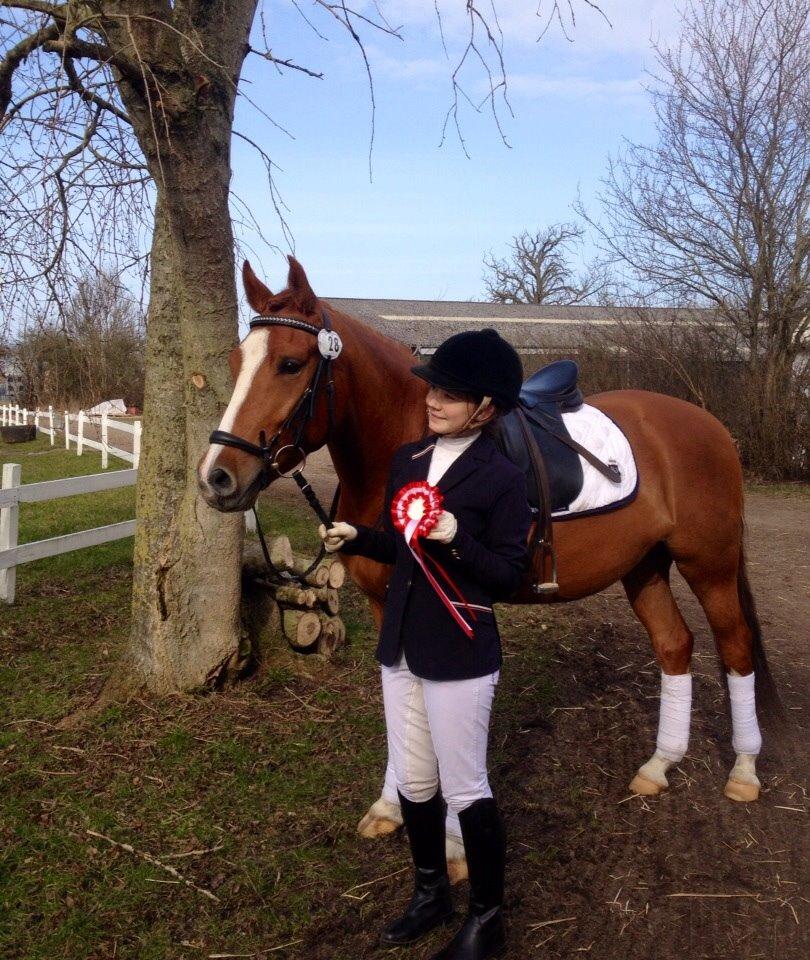 Welsh Partbred (Sec F) Stillebaekkens Monogramm billede 20