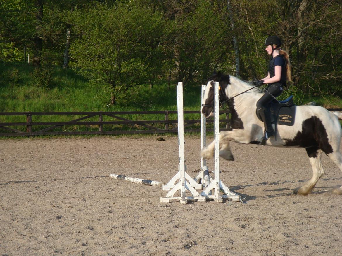 Tinker cutie - 2. springtime over okser billede 11