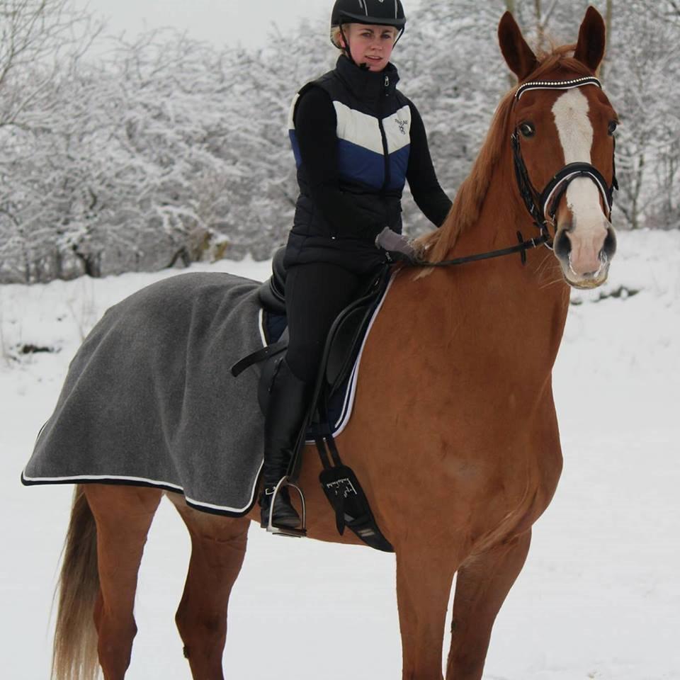 Anden særlig race Amigo billede 9