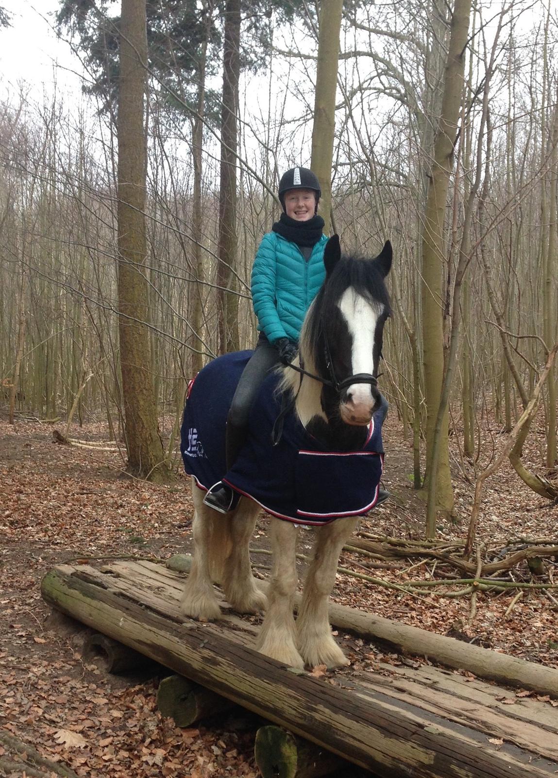 Tinker cutie - et sted i en skov med morfar, sif og sifs part felicia billede 18