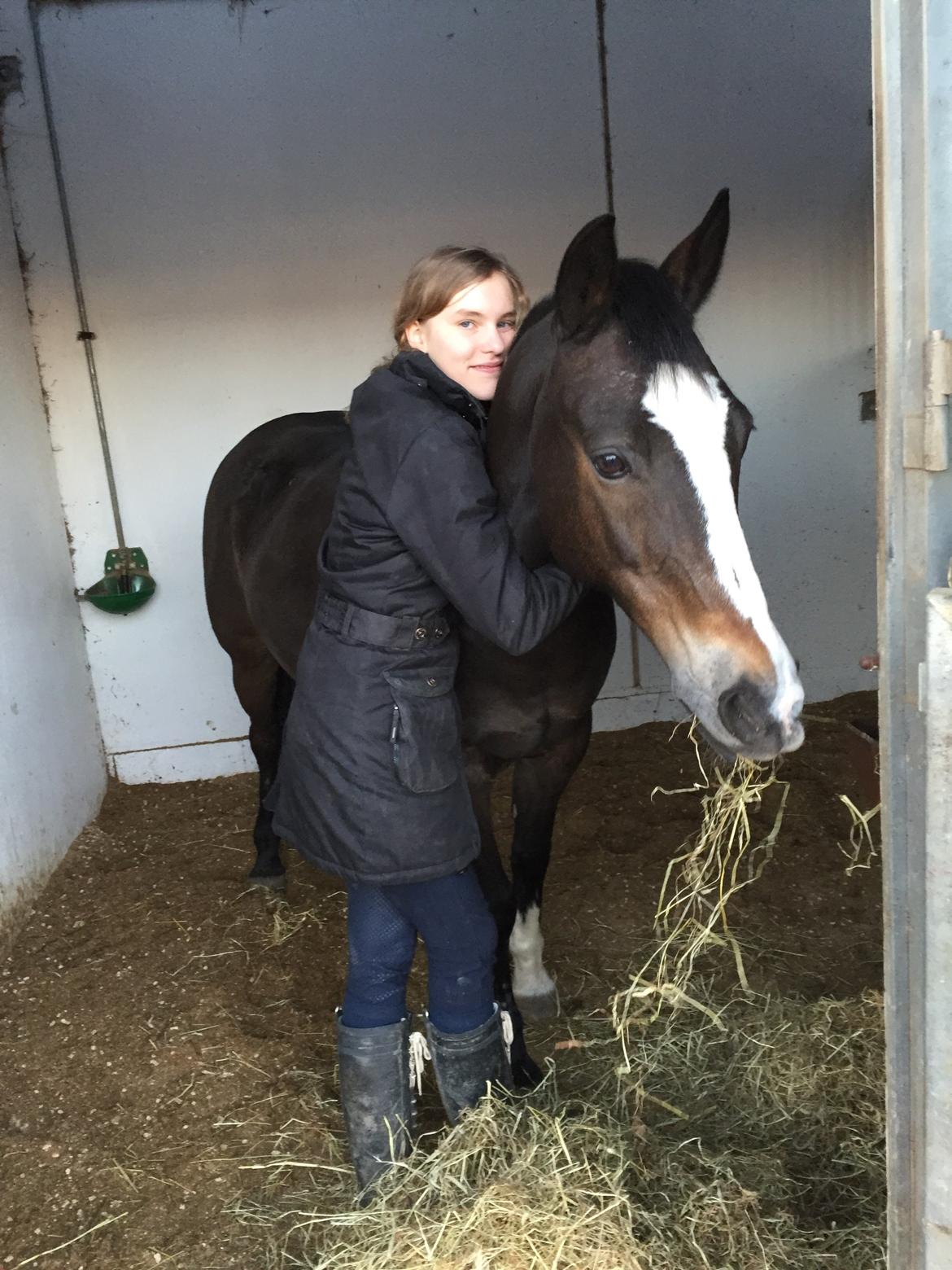 Hollandsk Sportspony Maggie [Himmelhest] - Tak for alt, Maggepigen ❤️😭 billede 15