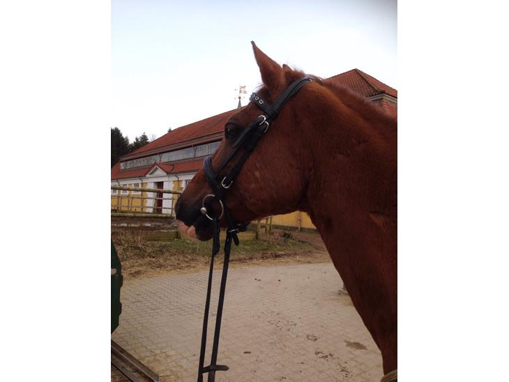 {{currentPhoto.altText}} billede {{currentPhoto.number}}