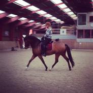 Anden særlig race A Part of me