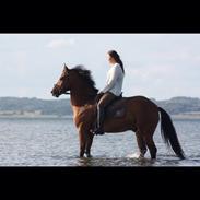 Anden særlig race A Part of me