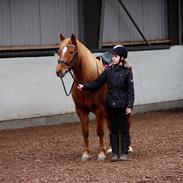Anden særlig race Fleur Dybdal
