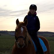 Anden særlig race Fleur Dybdal