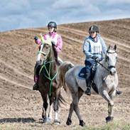 Anden særlig race Hera