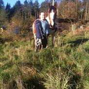 Pinto Love Never Dies