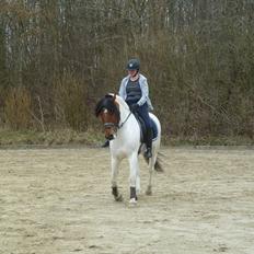 Anden særlig race pelle