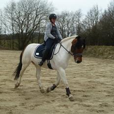 Anden særlig race pelle