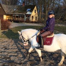 Anden særlig race Tulle