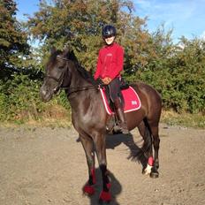 Anden særlig race Chanel 