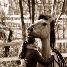 Anden særlig race Lukas