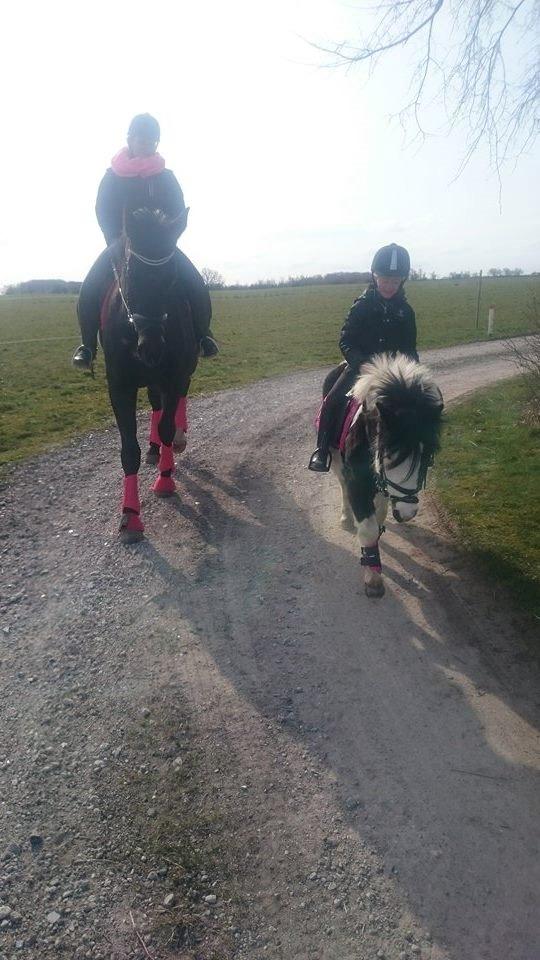 Oldenborg Schousboes Fie billede 12