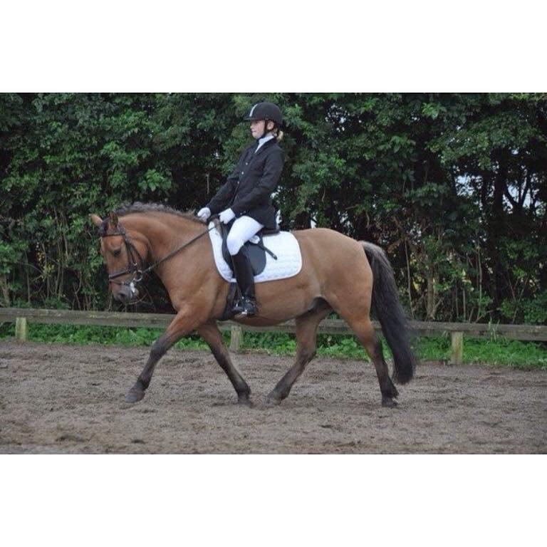 Anden særlig race Multeberg - Ponyuge 2012<3 billede 6