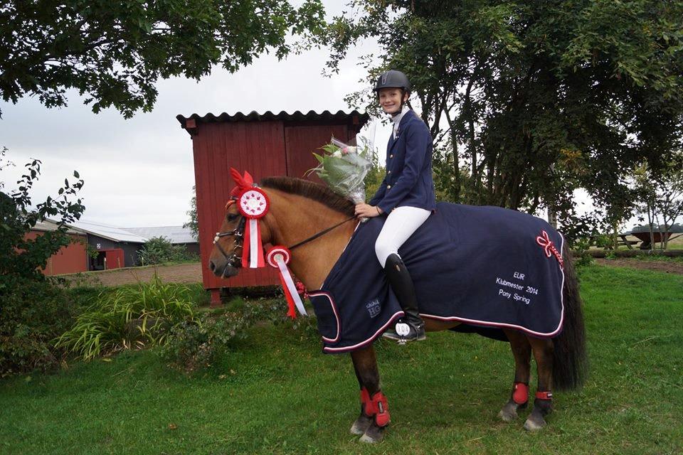 Anden særlig race Multeberg - Velkommen til Multebergs profil.. Klubmester 2014<3 billede 1