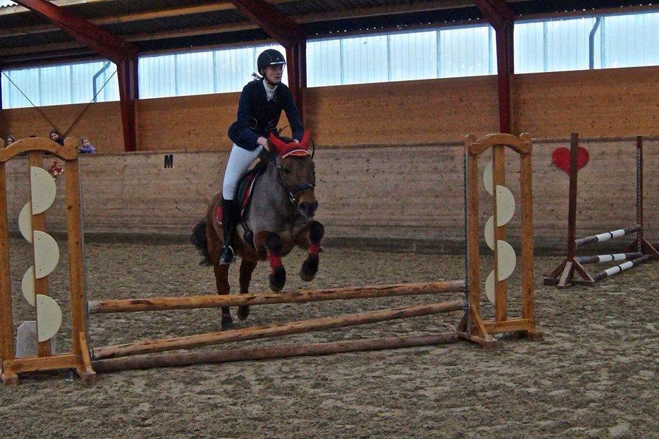 Anden særlig race Multeberg - Springstævne i December<3 billede 11