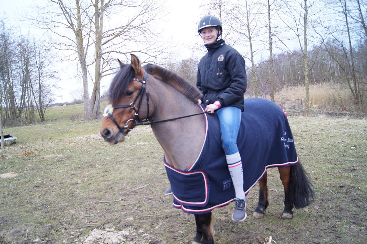 Anden særlig race Multeberg - 
En god træner kan hører hesten tale, en framragende kan hører hesten hviske.. billede 8