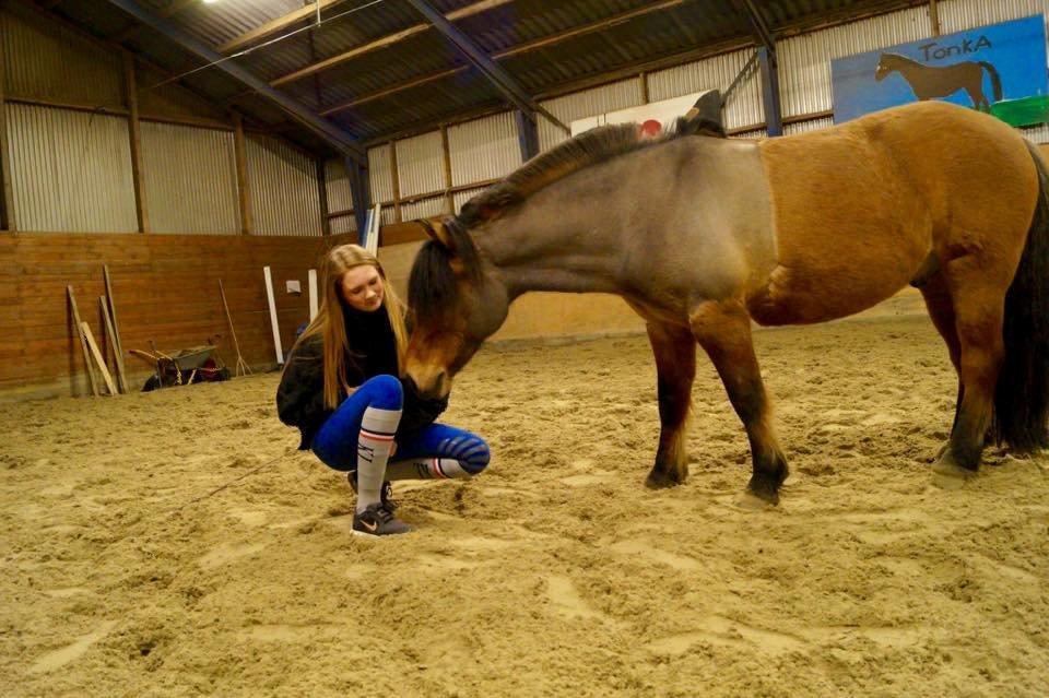 Anden særlig race Multeberg - No hour of life i wasted, that is spent in the saddle.. billede 13