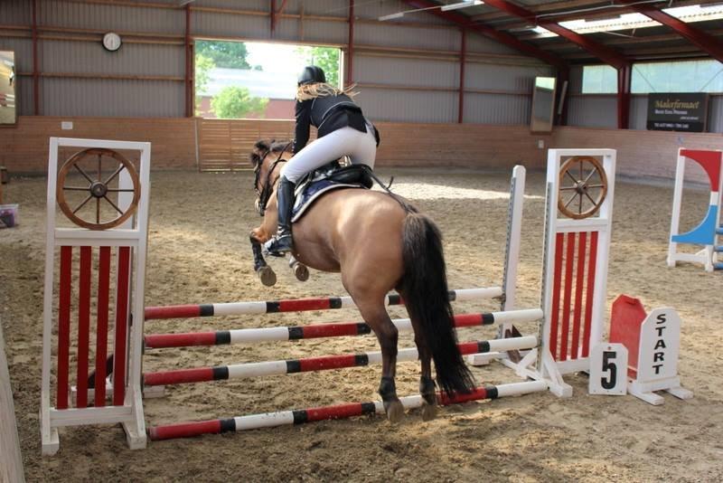 Anden særlig race Multeberg - Springstævne.. billede 19