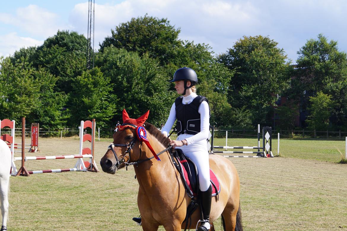 Anden særlig race Multeberg - Pony uge 2014.. billede 12