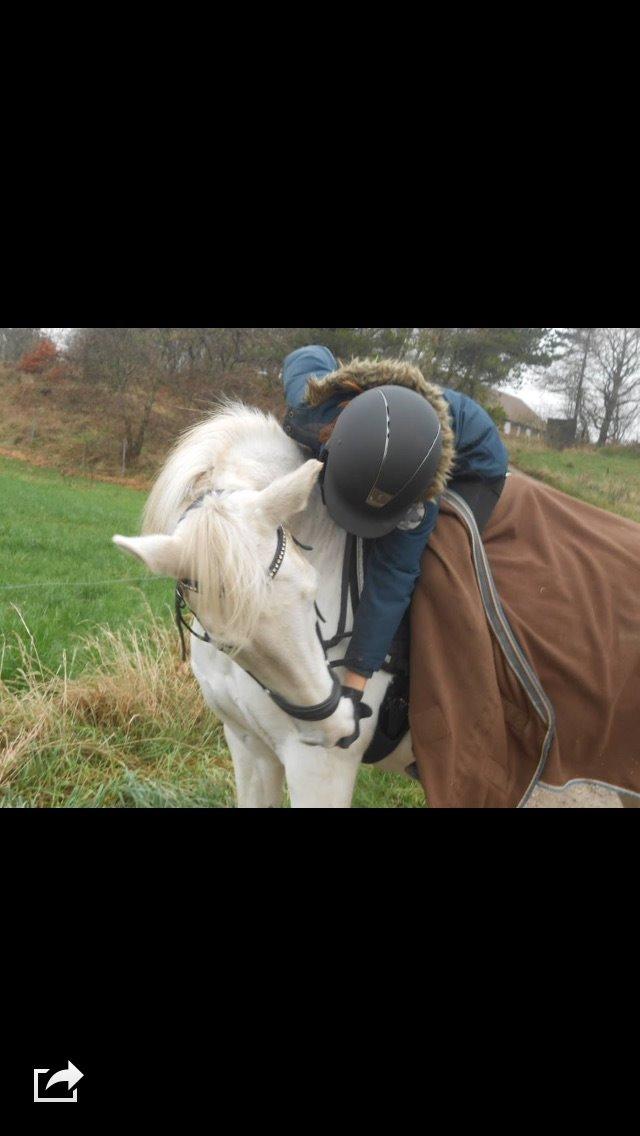 Anden særlig race Masja - D. 24/11-2014 blev Masja solgt, savner hende så meget :( <3 billede 10