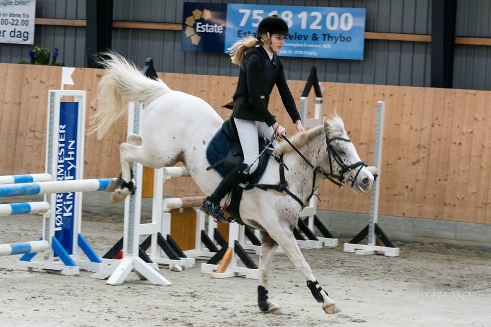 Anden særlig race Hot'n tot A-PONY - FLot landig i en lille MB ;)) Foto: Susan Jacobsen billede 13