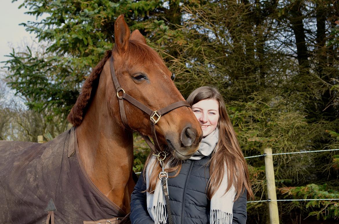 Anden særlig race Charming Sahlina billede 1