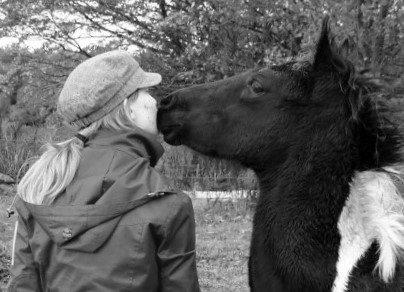 Paint ROCKYS FLYING COMET billede 13