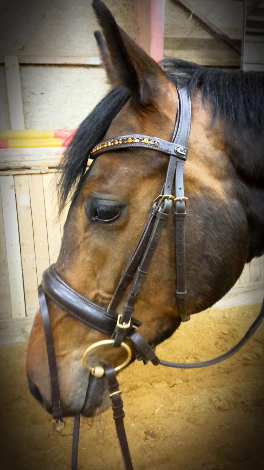 Holstener Coco Chanel Mak billede 10